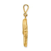 Load image into Gallery viewer, 14k Satin Diamond-cut Pisces Zodiac Charm
