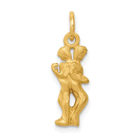 Load image into Gallery viewer, 14k Satin Diamond-cut Gemini Zodiac Charm

