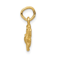 Load image into Gallery viewer, 14k Satin Diamond-cut Cancer Zodiac Charm
