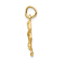 Load image into Gallery viewer, 14k Satin Diamond-cut Leo Zodiac Charm
