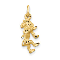 Load image into Gallery viewer, 14k Satin Diamond-cut Leo Zodiac Charm
