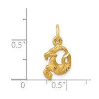 Load image into Gallery viewer, 14k Satin Diamond-cut Capricorn Zodiac Charm
