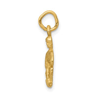 Load image into Gallery viewer, 14k Satin Diamond-cut Aquarius Zodiac Charm
