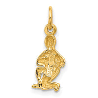 Load image into Gallery viewer, 14k Satin Diamond-cut Aquarius Zodiac Charm
