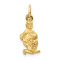 Load image into Gallery viewer, 14k Satin Diamond-cut Aquarius Zodiac Charm
