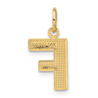 Load image into Gallery viewer, 14KY Satin Diamond-cut Letter F Initial Charm
