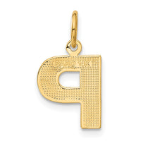 Load image into Gallery viewer, 14KY Satin Diamond-cut Letter P Initial Charm
