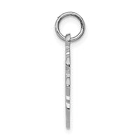 Load image into Gallery viewer, 14k White Gold RN Registered Nurse Disc Charm
