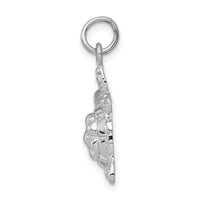 Load image into Gallery viewer, 14k White Gold Solid Polished Open-Backed Turtle Charm
