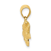 Load image into Gallery viewer, 14k Solid Polished Open-Backed Crocodile Pendant
