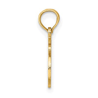 Load image into Gallery viewer, 14K 100% LEO Zodiac Charm
