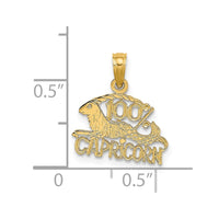 Load image into Gallery viewer, 14K 100% CAPRICORN Zodiac Charm

