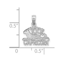 Load image into Gallery viewer, 14k WG 100% CAPRICORN Zodiac Charm
