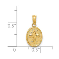 Load image into Gallery viewer, 14k Polished Small Fleur De Lis in Oval Pendant
