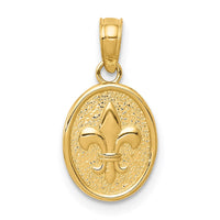 Load image into Gallery viewer, 14k Polished Small Fleur De Lis in Oval Pendant
