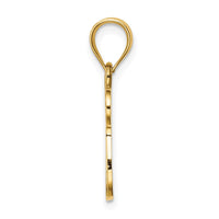 Load image into Gallery viewer, 14K Polished Chai Pendant
