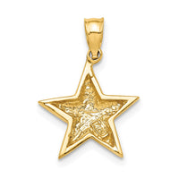 Load image into Gallery viewer, 14K Polished Star Pendant
