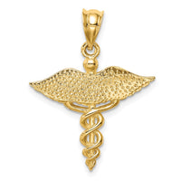 Load image into Gallery viewer, 14K Polished 3-D Medical Pendant
