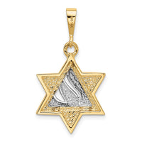 Load image into Gallery viewer, 14k Two-tone Star of David Pendant

