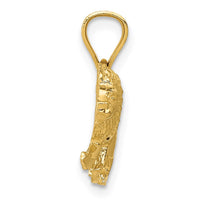 Load image into Gallery viewer, 14K Diamond-cut Lion Pendant
