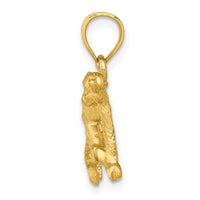 Load image into Gallery viewer, 14K Diamond-cut Monkey Pendant
