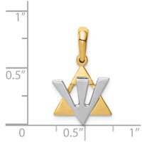 Load image into Gallery viewer, 14K Two-tone Star of David w/Shin Charm
