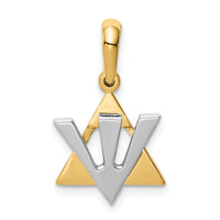 Load image into Gallery viewer, 14K Two-tone Star of David w/Shin Charm

