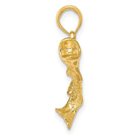 Load image into Gallery viewer, 14K Gold Polished Textured Bass Fish Pendant
