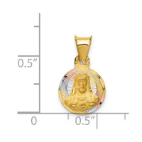 Load image into Gallery viewer, 14K w/Rose and White Rhodium D/C Sagrado Corazon Pendant
