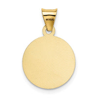 Load image into Gallery viewer, 14K w/Rose and White Rhodium D/C Sagrado Corazon Pendant
