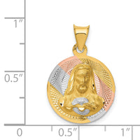 Load image into Gallery viewer, 14K w/Rose and White Rhodium D/C Sagrado Corazon Pendant
