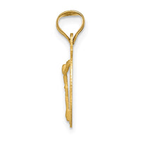 Load image into Gallery viewer, 14K Polished D/C Corpus Circle Pendant
