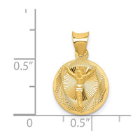 Load image into Gallery viewer, 14K Polished D/C Corpus Circle Pendant
