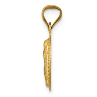 Load image into Gallery viewer, 14K w/Rhodium Polished D/C Lady Of Guadalupe Circle Pendant
