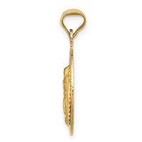 Load image into Gallery viewer, 14K w/Rhodium Polished D/C Lady Of Guadalupe Circle Pendant
