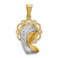 Load image into Gallery viewer, 14K w/Rhodium Satin And Polished Mary Pendant
