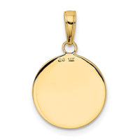 Load image into Gallery viewer, 14K Gold Satin And Polished Saint Francis Medal Pendant
