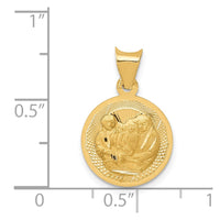 Load image into Gallery viewer, 14k Polished and D/C Baptism Circle Pendant
