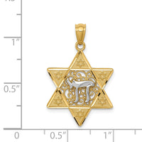 Load image into Gallery viewer, 14k Two-tone Gold Polished Star of David w/Chai Pendant
