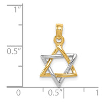 Load image into Gallery viewer, 14K Two-tone Polished Star of David Pendant
