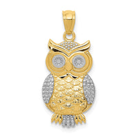 Load image into Gallery viewer, 14K w/ Rhodium Polished / Textured Owl Pendant
