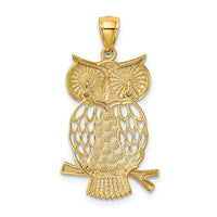 Load image into Gallery viewer, 14k w/ Rhodium Diamond-cut Polished Moveable Owl Pendant
