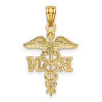 Load image into Gallery viewer, 14k Diamond-cut Polished RN Nurse Pendant
