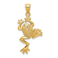 Load image into Gallery viewer, 14K Frog w/ Textured Back Charm
