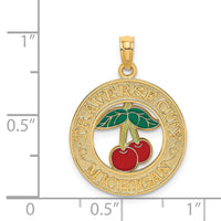 Load image into Gallery viewer, 14K TRAVERSE CITY MI Enamel Cherry Charm
