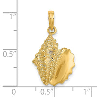Load image into Gallery viewer, 14K Conch Shell Charm
