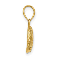 Load image into Gallery viewer, 14K 2-D Polished Engraved Fish Charm
