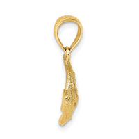 Load image into Gallery viewer, 14K 2-D Polished Fish Charm
