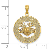 Load image into Gallery viewer, 14K ANTIGUA, W.I. Circle w/ Frog Charm
