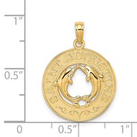 Load image into Gallery viewer, 14K SAINT AUGUSTINE w/Dolphins Circle Charm
